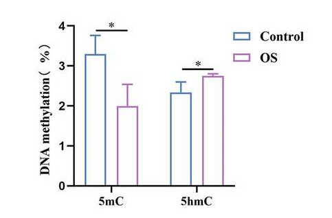 Researchers Investigate High Estrogen’s Effect on DNA Demethylation in Oocytes